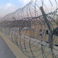 κονσερτινα-02