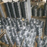 κονσερτινα-300μμ